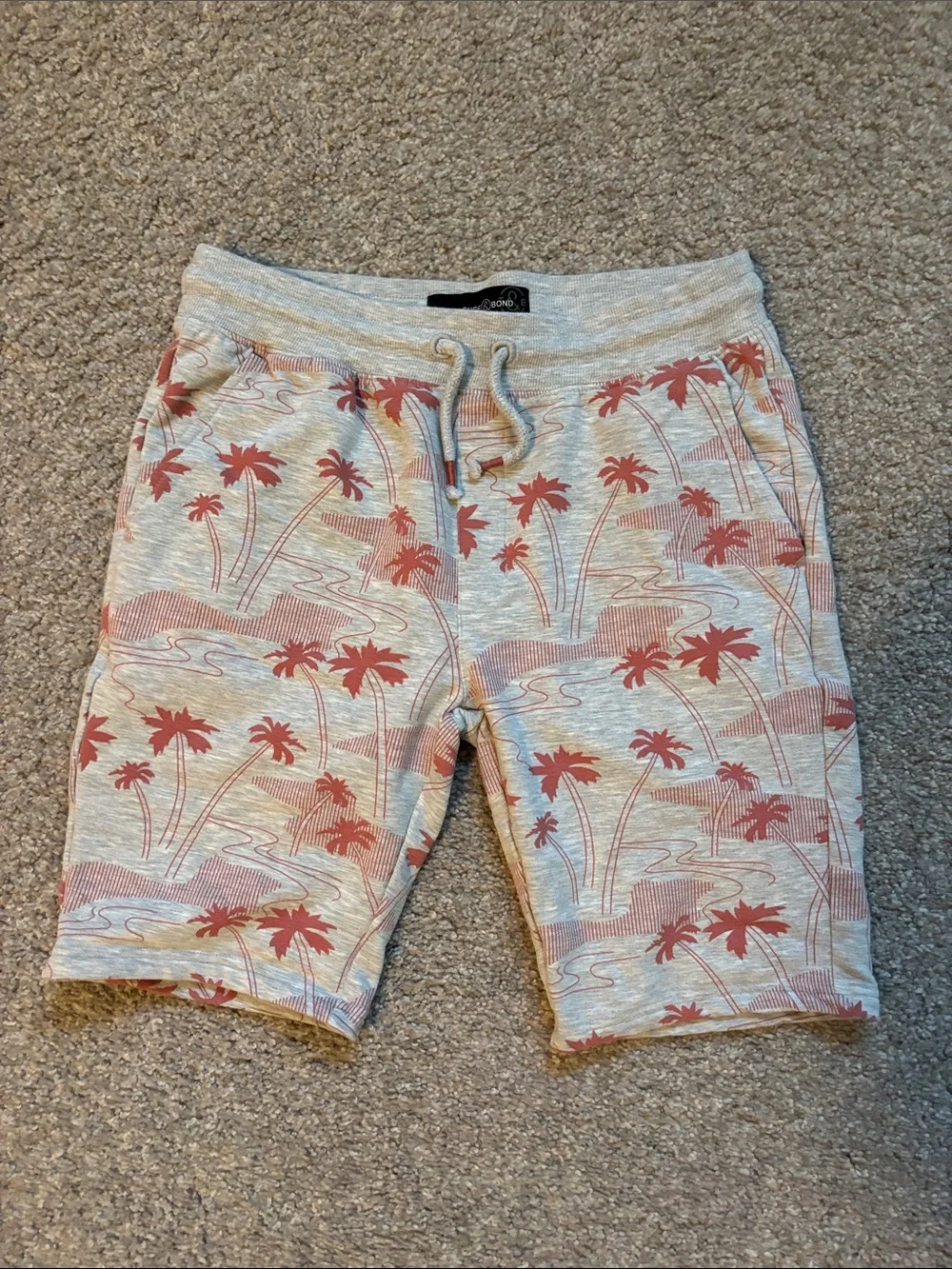 Treasure & Bond Gray sweat Shorts with Coral Palm Print XL 14/16